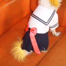 희영유치원 이미지