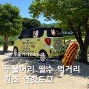 양평 두물머리 원조 연핫도그 후기｜매운맛이 더 맛있었던 두물머리 명물