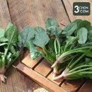 삼촌유통 이미지