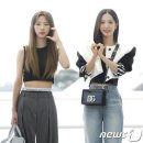 보나 이미지