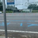 (주)동광주유소 | 3박 4일 나홀로 제주여행 후기(2) [제주도 우도, 용눈이 오름, 1100고지]