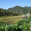 너브내길_2 이미지