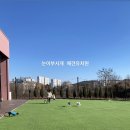 눈이부시개 이미지