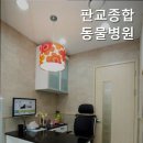 판교종합동물병원 네이버블로그