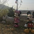 초록별숲유치원 이미지