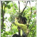 동막2리 마을회관 이미지