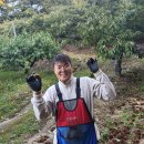 충주농장 이미지