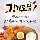 12월1일 고발뉴스 이미지