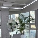 소문난 민희네 | 르블라썸 강남점 | 민희 수석디자이너 | 뿌리매직과 르미네상스클리닉으로 찰랑찰랑