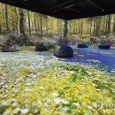 숲사랑(산불방지)홍보관 이미지