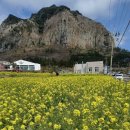 제주도 삼방산 선녀의 사랑ㅡ유채꽃밭ㅡ삼방산 사찰 광명사ㅡ삼방굴사ㅡ삼방산 보문사ㅡ 이미지