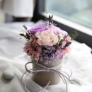 프리저브드 플라워 이미지