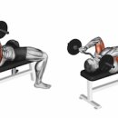 워너짐 하단점 이미지