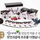 수혁농장 이미지