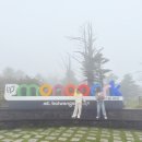 동해농협본점 | 평창 발왕산 케이블카 가격 할인 애견동반 정보