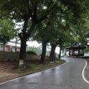 강당말강당 네이버블로그