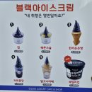 경포빅토리아파크 | 2026. 강원도 강릉 여행 02