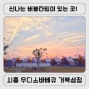 [시흥 거북섬 맛집] 아이랑 강아지랑 가기 딱 좋은 야외 바베큐, '우디스바베큐' 내돈내산(지인찬스) 후기!