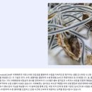 유한회사 다재 이미지