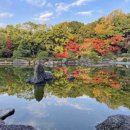 돌다리공원 | 후쿠오카 힐링 산책 오호리공원 후기
