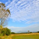 창녕 우포늪 이미지