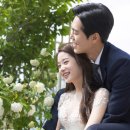 더네이처 이미지