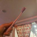 [EIC] 이엘컴퍼니 HAYAN 칫솔 협찬 솔직 후기