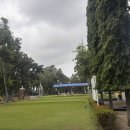 싱글로골프클럽 | 세부 막탄아일랜드골프클럽 실제 라운딩 정보와 2026년 1월 이용 후기