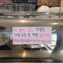 오지다방 | 강릉 선물 추천 크림빵 맛집 강릉빵다방 내돈내산 후기