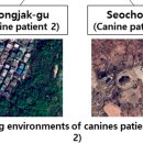 유니온동물의료센터 이미지