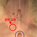 큐동물병원 이미지