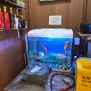 광장33호 이미지