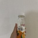따옴