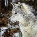 (주)네이쳐트레이딩 이미지