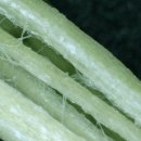 설담한의원 이미지