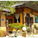 다솜차반 이미지