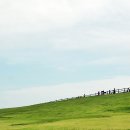 제주이야기주