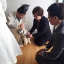 괴정1동-5 이미지