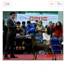 베르만