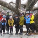 아라곰탕 이미지