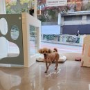 송내동3 이미지