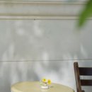 카페Cafe 521