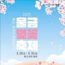 황산문화체육공원 국민여가캠핑장 | [경상남도 양산시] 물금벚꽃축제