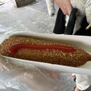 테일민박 이미지