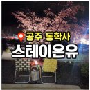 온유상사 | 대전 뚜벅이 여행 추천 동학사 벚꽃 뷰 숙소 스테이온유 W1 솔직후기
