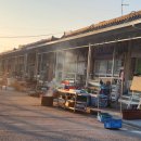 터미널토굴새우젓 | [충남 보령] 천수만 천혜의 자연 어항, '오천항'