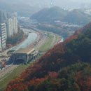 구갈레스피아공원 이미지