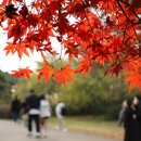 지사중학교 이미지