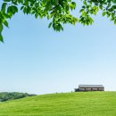 오월(5월) 1 이미지