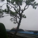 보태미농장 이미지